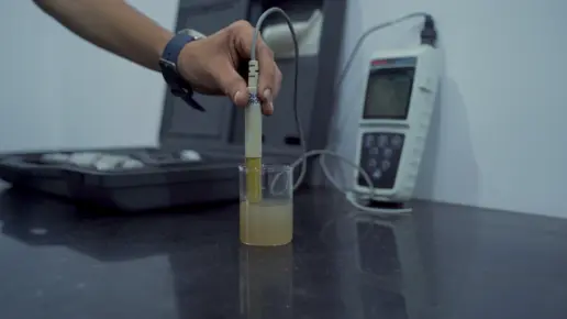 Lab Testing by Using Scientific and analytical mood.